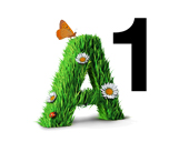 A1.net